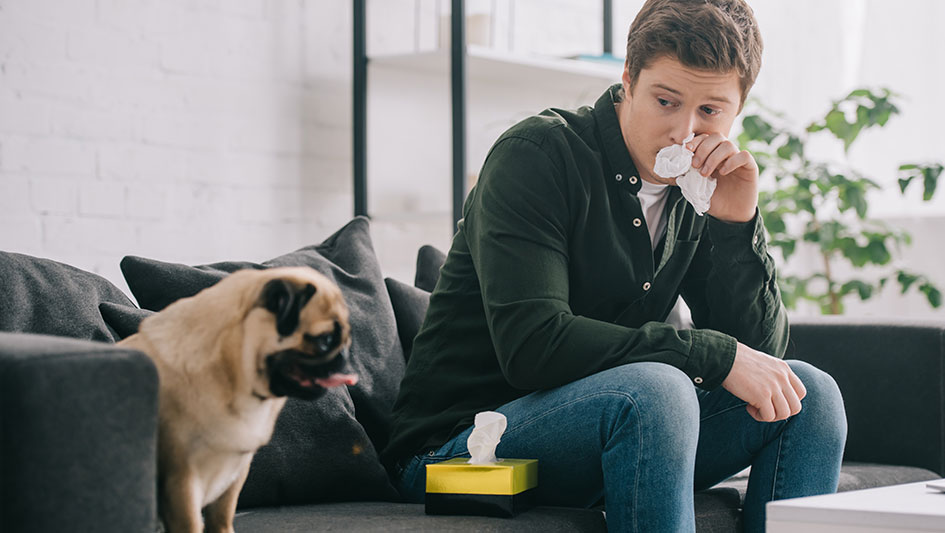 Installing an air purifier is one of the top approaches to improve your home’s indoor air quality. Learn more about the three smartest products. 